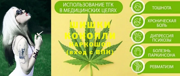 шишки Алексин