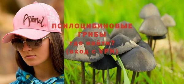 шишки Алексин