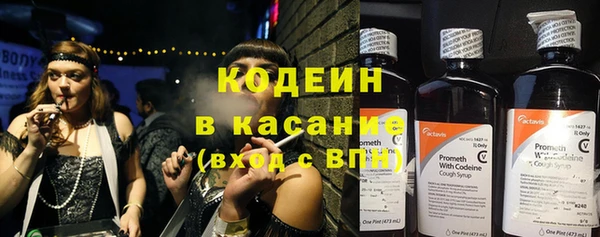 гашик Алексеевка