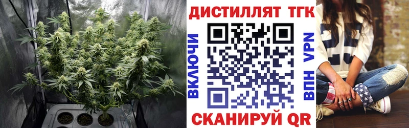 Дистиллят ТГК гашишное масло  цены   Пустошка 
